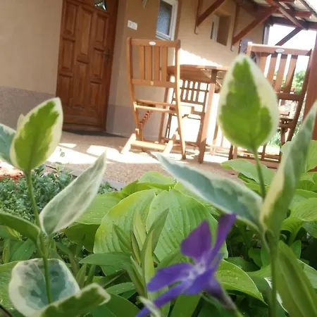 Apartamento ágnes *