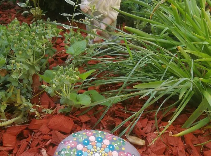 Agnes Vendeghaz